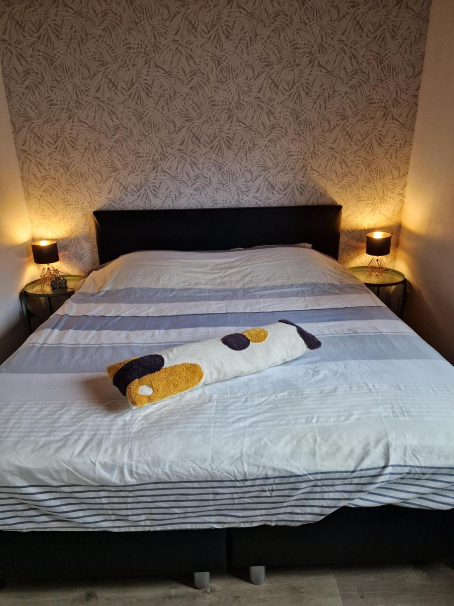 Belle Vue - International - Bomal -